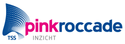 Logo iNzicht 1